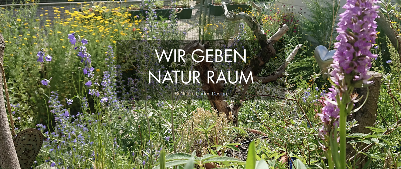 Naturgarten Erdmannhausen - ↗️ReNature Garten-Design: ✔️Teichbau, Gartenbau, Gartengestaltung, Galabau