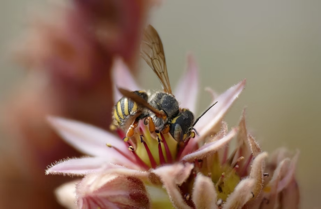 Gartengestaltung in 71679 Asperg - Tamm, Möglingen oder Hohenasperg