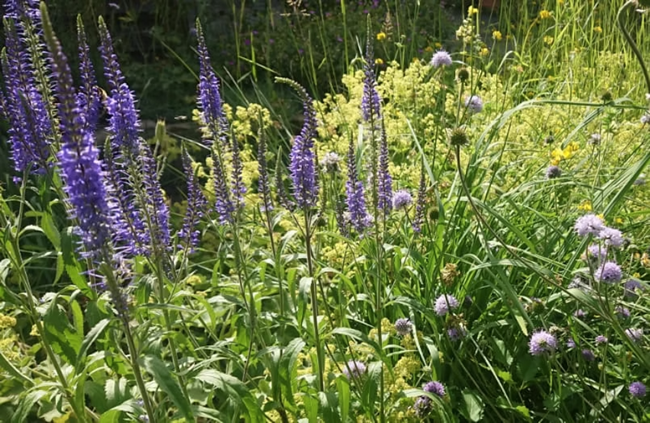 Naturgaerten in Großbottwar