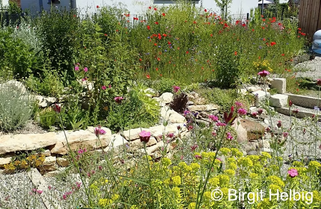 Naturgarten in Benningen (Neckar), Ingersheim, Affalterbach, Mundelsheim, Steinheim (Murr), Freiberg (Neckar), Erdmannhausen oder Marbach (Neckar), Murr, Pleidelsheim